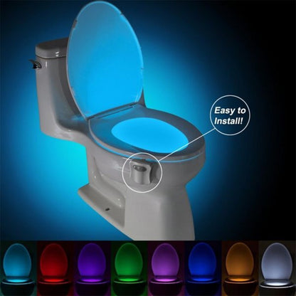 LED Toilet Night Light