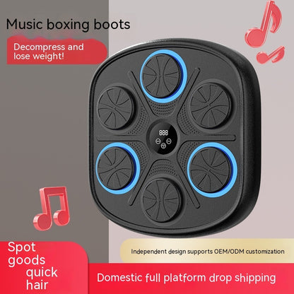 Music Boxing Target Training - Wall mounted Fitness Equipment