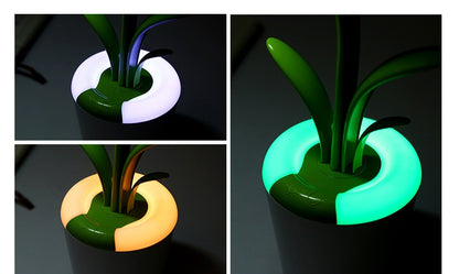 Modern Desk LED Lamp