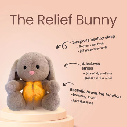 Sensory Plush Anxiety Relief Bunny