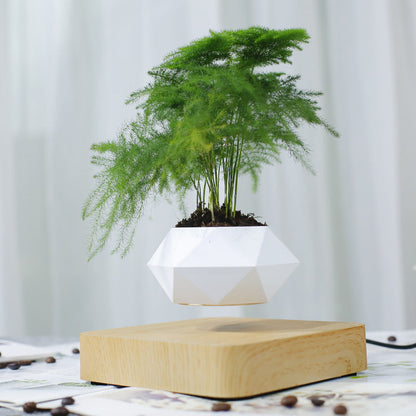 Magnetic Levitation Plant Pot